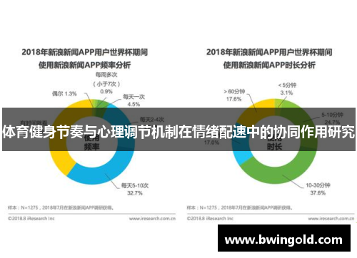 体育健身节奏与心理调节机制在情绪配速中的协同作用研究