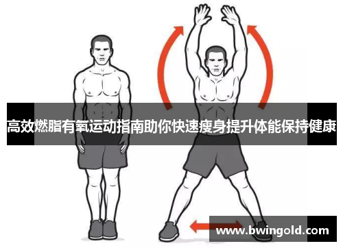 高效燃脂有氧运动指南助你快速瘦身提升体能保持健康