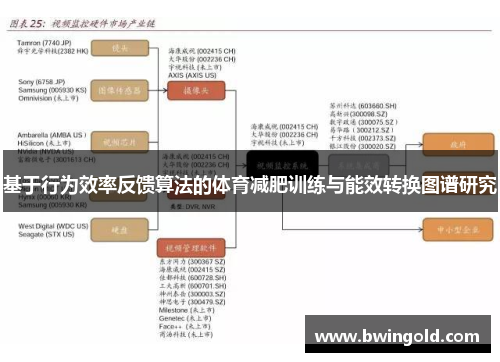 基于行为效率反馈算法的体育减肥训练与能效转换图谱研究