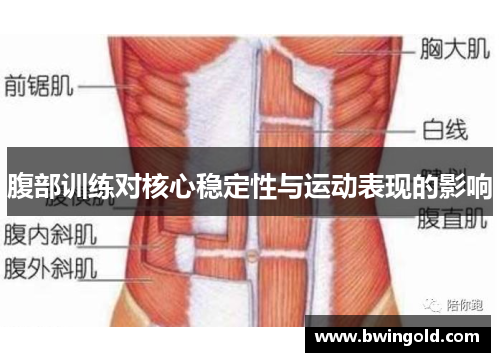 腹部训练对核心稳定性与运动表现的影响